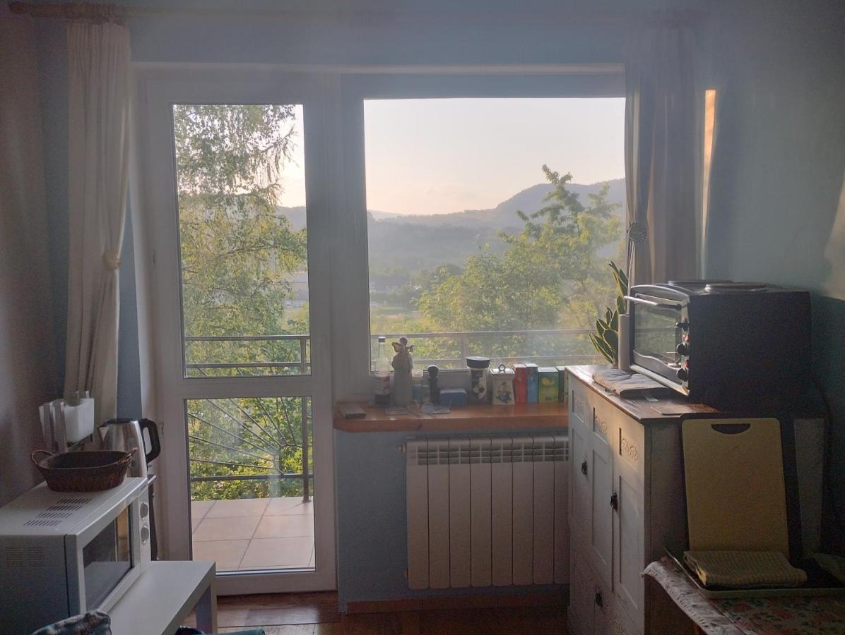 Nowa Jutrzenka Appartement Stryszawa Buitenkant foto